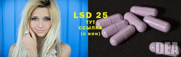 прущие грибы Алексин