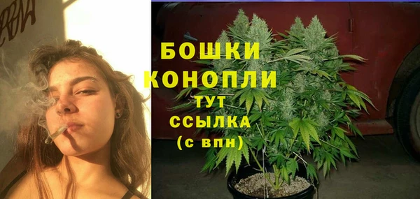 сатива Алексеевка