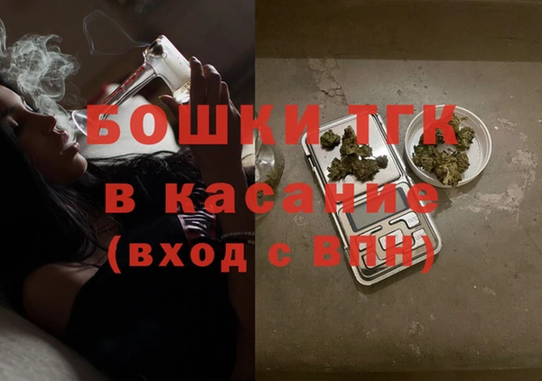 сатива Алексеевка